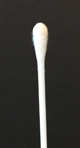 Photograph showing a negative oxidase test.